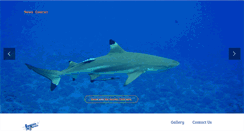 Desktop Screenshot of lagoonservice.com